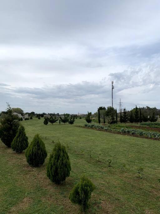 Fraschi Countryhouse Карпиняно Салентино Екстериор снимка